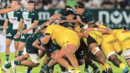 RUGBY PRO – Carton plein : Pau, Bayonne, Biarritz et Dax se font plaisir